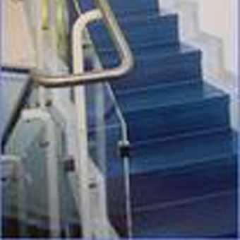 ɶܽذ巨FORBOܽذɳĦ˿sarlino